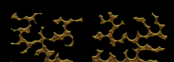 Kradie's Roper 63