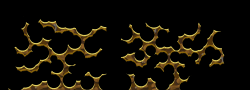 Kradie's Roper 66