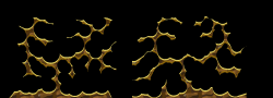 Kradie's Roper 78