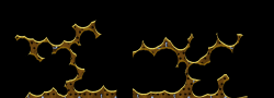 Kradie's Roper 81