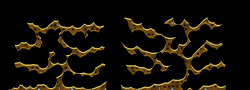 Kradie's Roper 89
