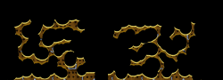 Kradie's Roper 92
