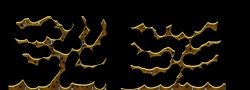 Kradie's Roper 96