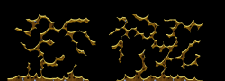 Kradie's Roper 97