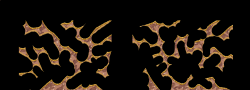 Kradie's Roper 137
