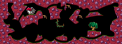 Kradie's CaveZaR 33