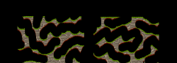 Kradie's Roper 161