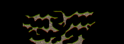 Kradie's Roper 181