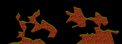 03