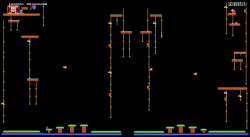 DonkeyKong Jr. Fly