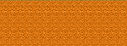 -Desert Moles