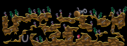 Complex Hysterians 2