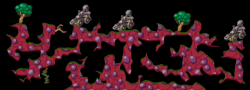 Complex Hysterians 5