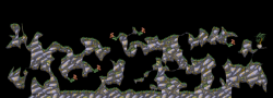 Complex Hysterians 16