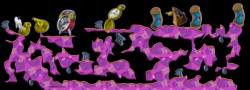 Complex Hysterians 20