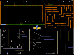 Sonic Rope Race