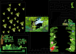Jungle