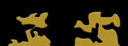 IBBrules2