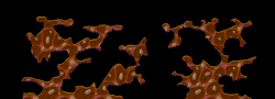 WEXAGE1