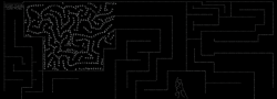 RopeRace_80
