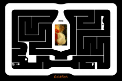 Goldfish