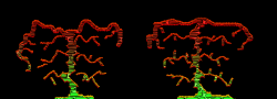 ROPER(NOOB PICASSO)
