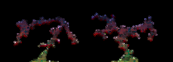 Roper map