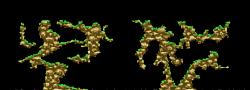 roper