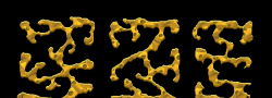 Roper13