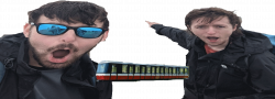 dsf