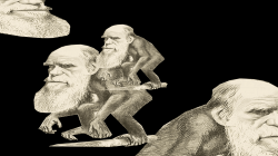 darwinism big