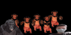 monky