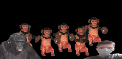 monky redux