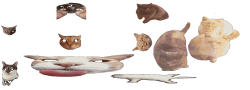 Cattoid Ape-o-Lips