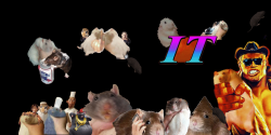 IT