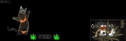 Weedcat Darts