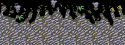 TheKomodoNew50