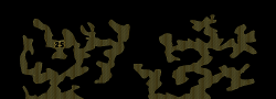 Roper-25