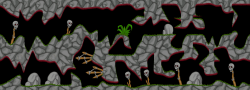 20048