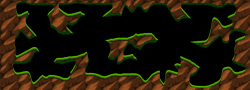 20737