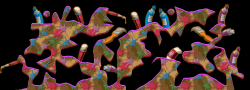 113776