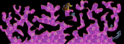 119800