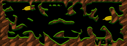 126568