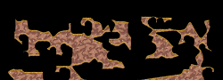 129523