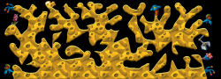 144750