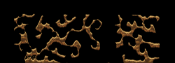 162059