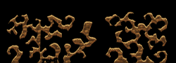 162060
