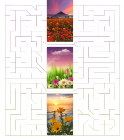 211801