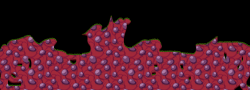 16221