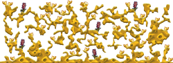 216132